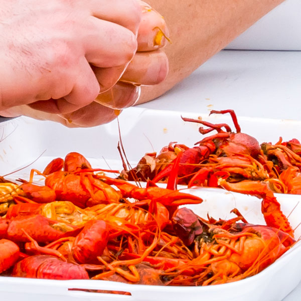 Crawfish Festival | Big Texas Fun